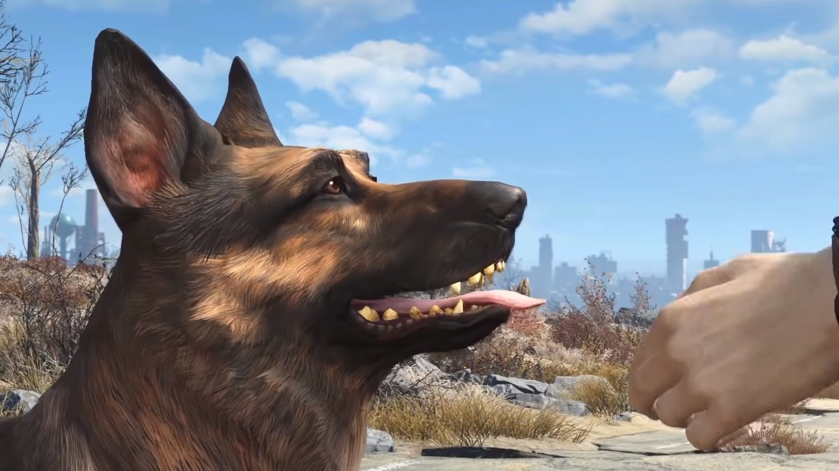The dog that played Dogmeat in Fallout 4 has died | Rock Paper Shotgun